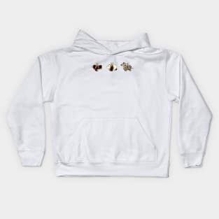 Dreams of Flight Kids Hoodie